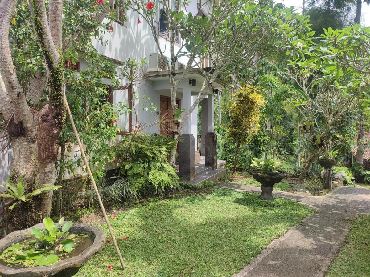 Nyoman Homestay Ubud المظهر الخارجي الصورة