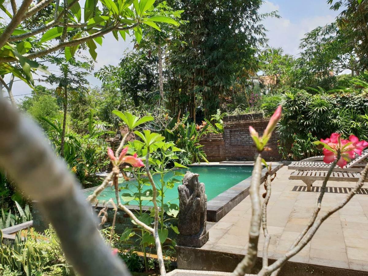 Nyoman Homestay Ubud المظهر الخارجي الصورة